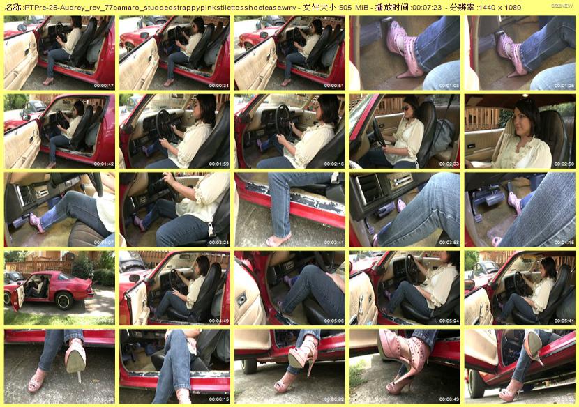 ptpre-25_Audrey_rev_77camaro_studdedstrappypinkstilettosshoetease